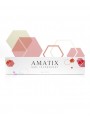 Manufacturer - AMATIX